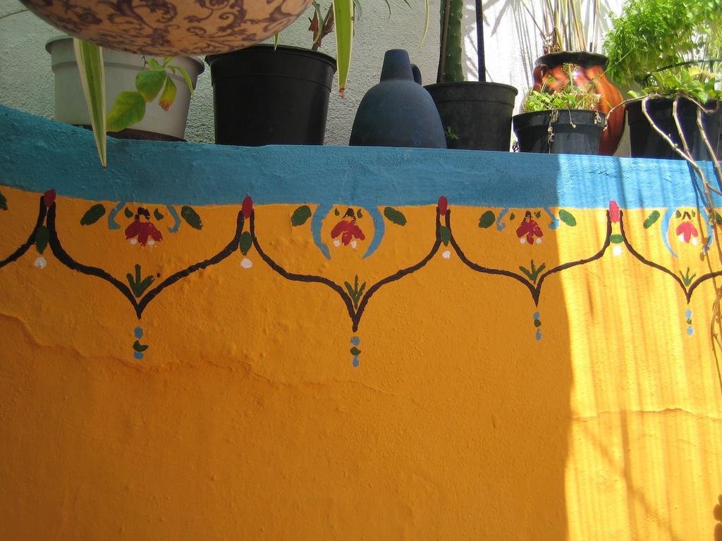Casa Annette Bed & Breakfast Cortelazor Exterior foto